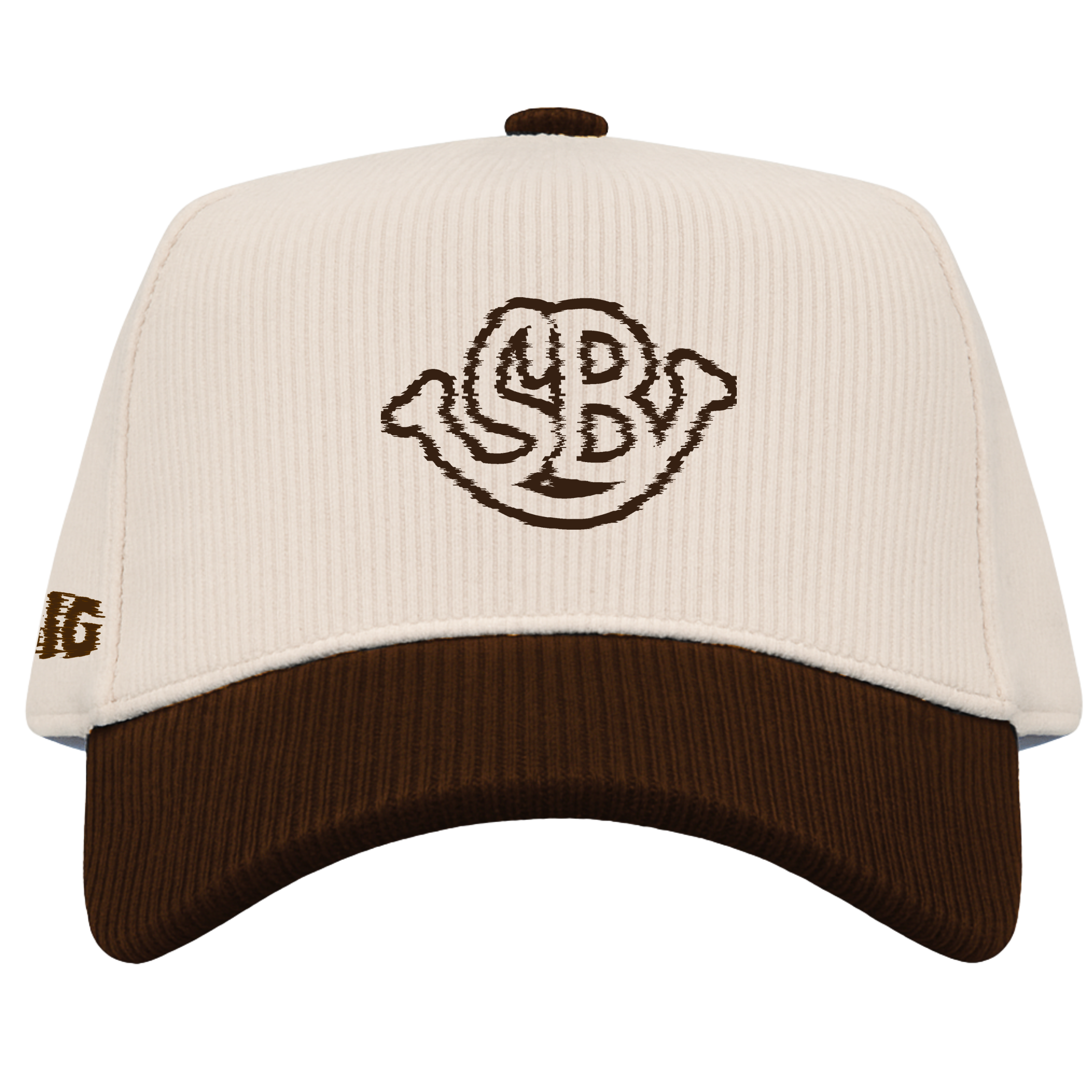 SB Distorted Corduroy Hat