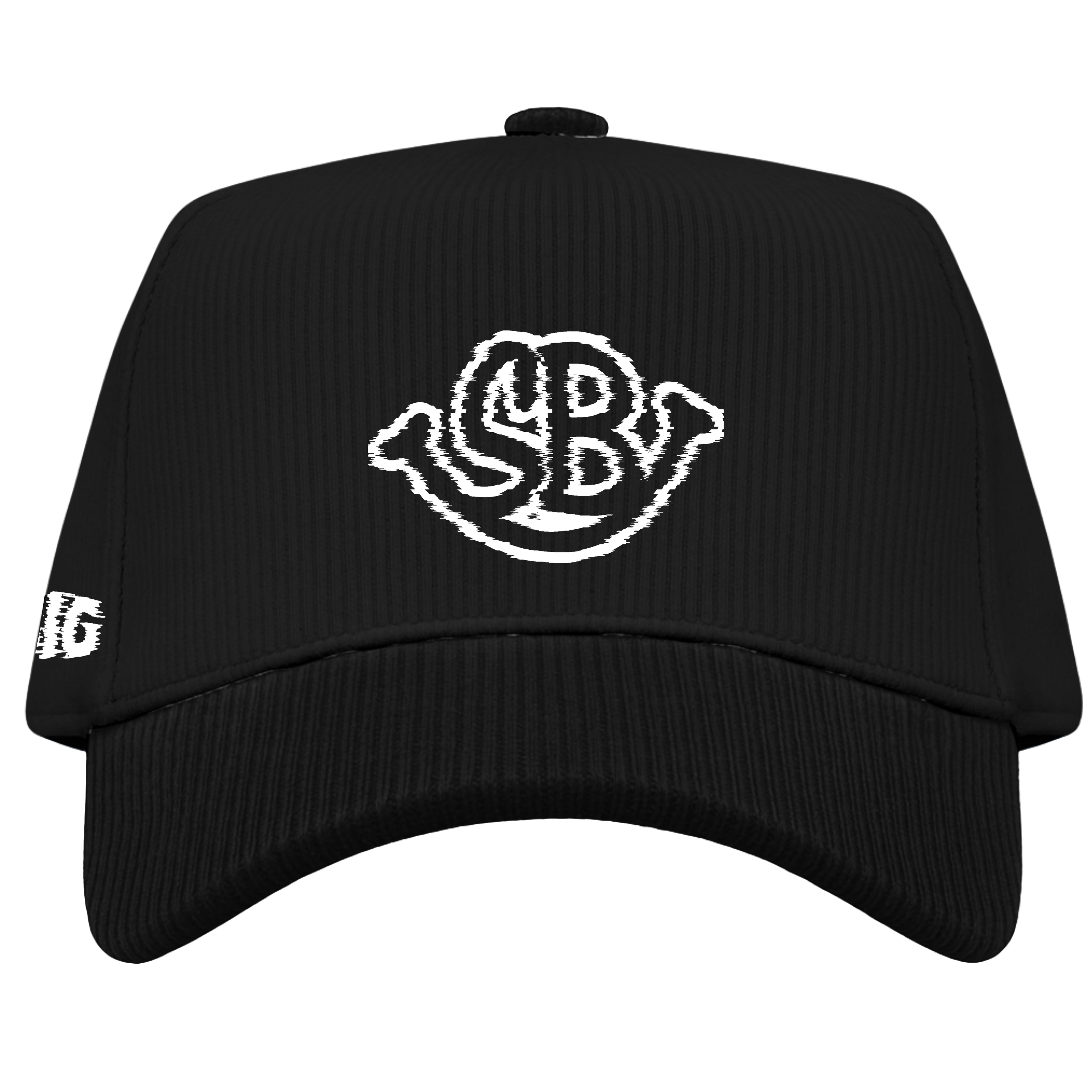 SB Distorted Corduroy Hat